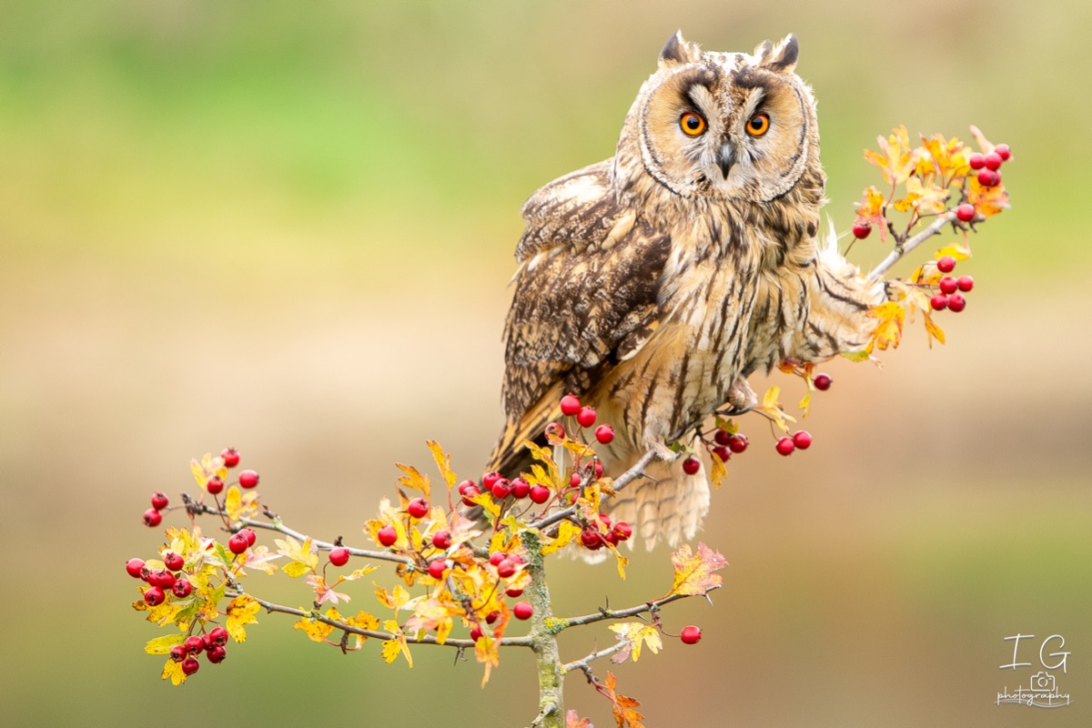 20211023  5D49478 insta